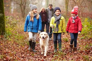 Family walking in the woods.